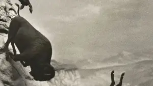 Задник к фильму "Эддингтон" #545252