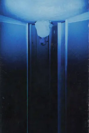 Постер к фильму "Паранормальные явления: Скинамаринк" #319871