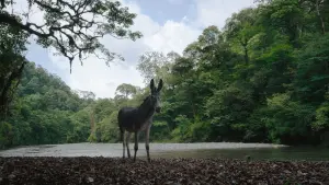 Задник к фильму "" #374015