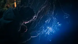 Задник к фильму "Эра выживания" #285171