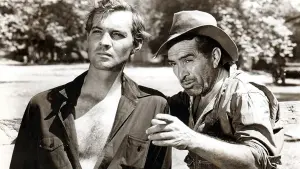 Задник к фильму "Южанин" #468638