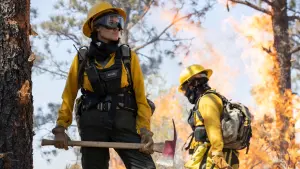 Задник к фильму "Те, кто желает мне смерти" #270746