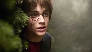 Задник к фильму "Гарри Поттер и кубок огня" #556545