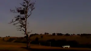 Задник к фильму "Сухой лист" #623391