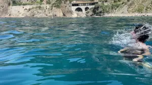 Задник к фильму "" #199923