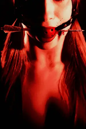 Постер к фильму "Опасные связи" #532183