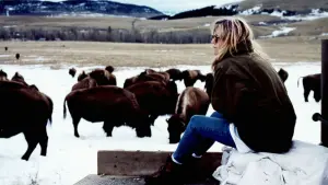 Задник к фильму "" #425044