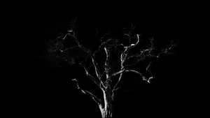 Задник к фильму "Dreams, Confessions and The End Of The World" #772858