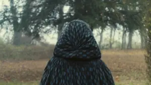 Задник к фильму "Портрет девушки в огне" #709695