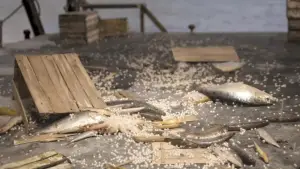 Задник к фильму "Девушка, которая плакала жемчугом" #583866