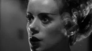 Задник к фильму "Невеста Франкенштейна" #211095