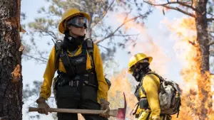 Задник к фильму "Те, кто желает мне смерти" #270755