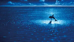 Задник к фильму "Голубая бездна" #534922