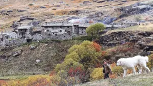 Задник к фильму "Белль и Себастьян" #252212