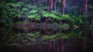 Задник к фильму "Город тайн: Исчезнувшая" #430481