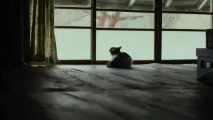 Задник к фильму "Маленький лес. Лето, осень" #853897