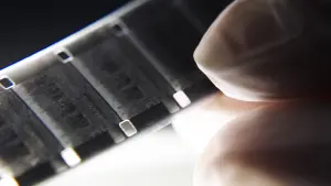 Задник к фильму "" #448821