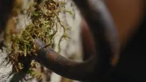 Задник к фильму "Мальчишки из «Никеля»" #598752