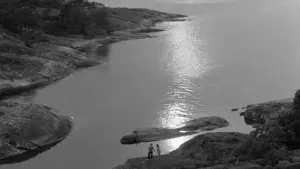 Задник к фильму "Лето с Моникой" #225805