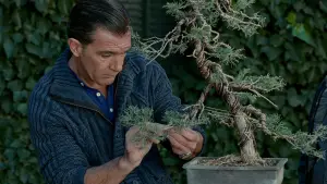 Задник к фильму "Кожа, в которой я живу" #699203