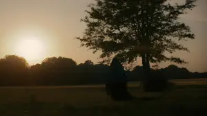 Задник к фильму "Женщина во дворе" #612763