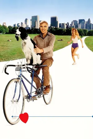 Постер к фильму "Одинокий парень" #421004