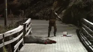 Задник к фильму "Охотники на троллей" #269728