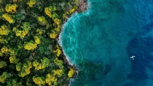 Задник к фильму "Остров фантазий" #321929