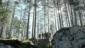 Задник к фильму "А зори здесь тихие..." #446786