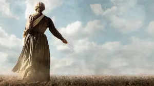 Задник к фильму "Хранительницы" #463175