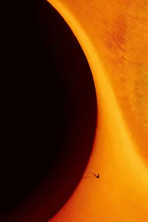 Постер к фильму "Дюна" #161634