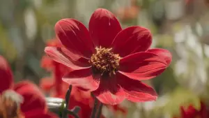 Задник к фильму "Маленькие проблемные девочки" #535203