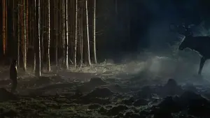 Задник к фильму "" #586445