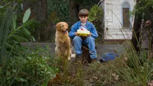 Задник к фильму "Король воздуха" #626782