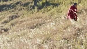 Задник к фильму "" #554318