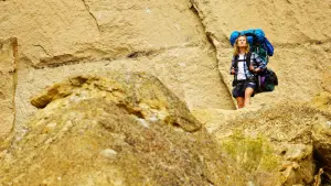 Задник к фильму "Дикая" #245803