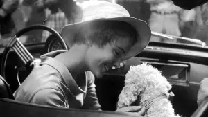 Задник к фильму "Здравствуй, грусть" #445929