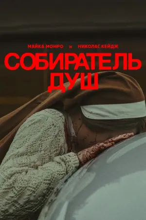Постер к фильму "Собиратель душ" #444703