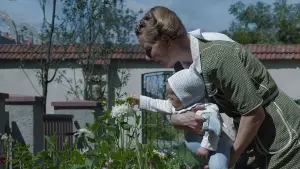 Задник к фильму "Зона интересов" #611313