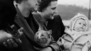 Задник к фильму "" #198829