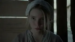 Задник к фильму "Ведьма" #600183