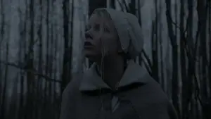 Задник к фильму "Ведьма" #600253