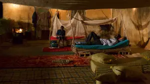 Задник к фильму "Легенды саванны" #439459