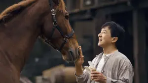 Задник к фильму "Кунг-фу жеребец" #320600