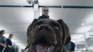 Задник к фильму "" #429799