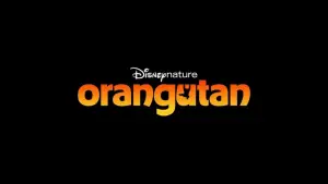 Orangutan