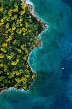 Постер к фильму "Остров фантазий" #321942