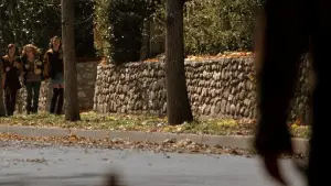 Задник к фильму "Хэллоуин 2007" #727710