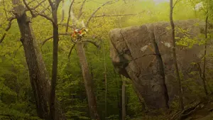 Задник к фильму "Королевство полной луны" #201680