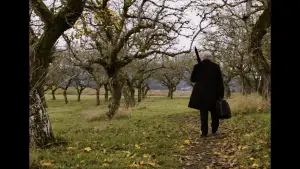 Задник к фильму "So Long, Farewell" #782399